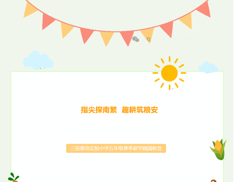 指尖探南繁 趣耕筑粮安